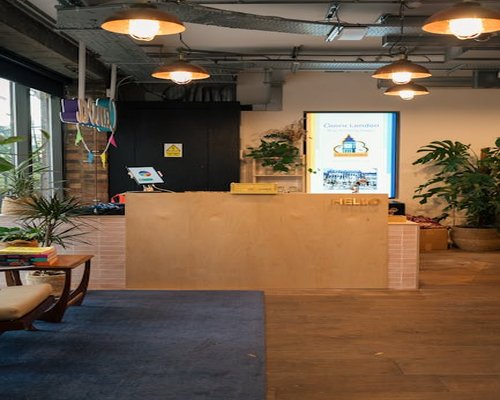 Calm and welcoming editorial office environment with natural light